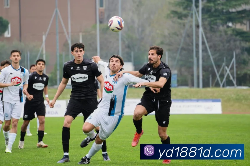 数据防护可视化